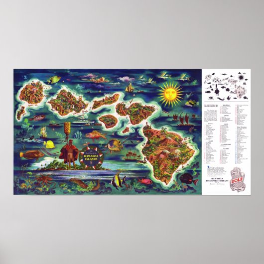 " USA: 1950/heute Hawaii - Dole  Reise ... Poster (Voorkant)