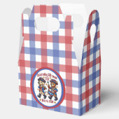 USA 250ste Jubileum Souvenir - Patriottisch Bedankdoosjes (Geopend)