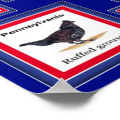 USA 50 STATE BIRDS BLUE/552 POSTER (Hoek)