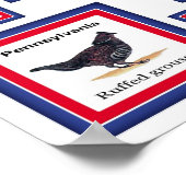 USA 50 STATE BIRDS WHITE/553 POSTER (Hoek)