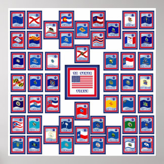 USA 50 STATE FLAGS WHITE/556 POSTER