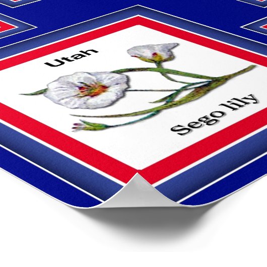 USA 50 STATE FLOWERS BLUE/558 POSTER (Hoek)