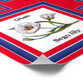 USA 50 STATE FLOWERS RED/560 POSTER (Hoek)