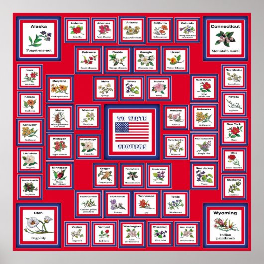 USA 50 STATE FLOWERS RED/560 POSTER (Voorkant)
