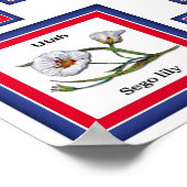 USA 50 STATE FLOWERS WHITE/559 POSTER (Hoek)