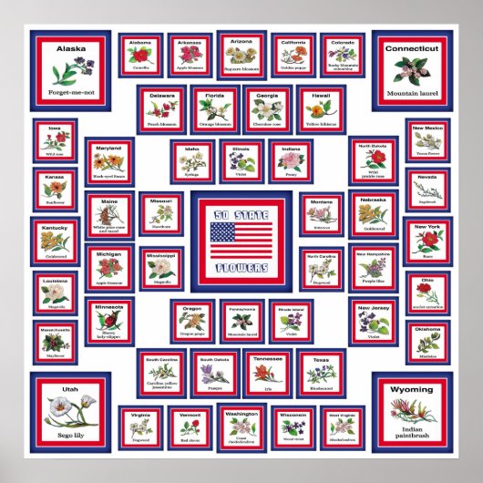 USA 50 STATE FLOWERS WHITE/559 POSTER (Voorkant)