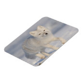 USA, Alaska, 1002 Coastal Plain of the ANWR. A 3 Magneet (Linkerzijde)