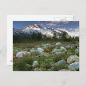 USA, Alaska, Alsek-Tatshenshini Wilderness. Uitzic Briefkaart (Voorkant / Achterkant)