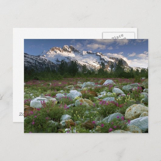USA, Alaska, Alsek-Tatshenshini Wilderness. Uitzic Briefkaart (Voorkant / Achterkant)