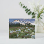 USA, Alaska, Alsek-Tatshenshini Wilderness. Uitzic Briefkaart (Staand voorkant)