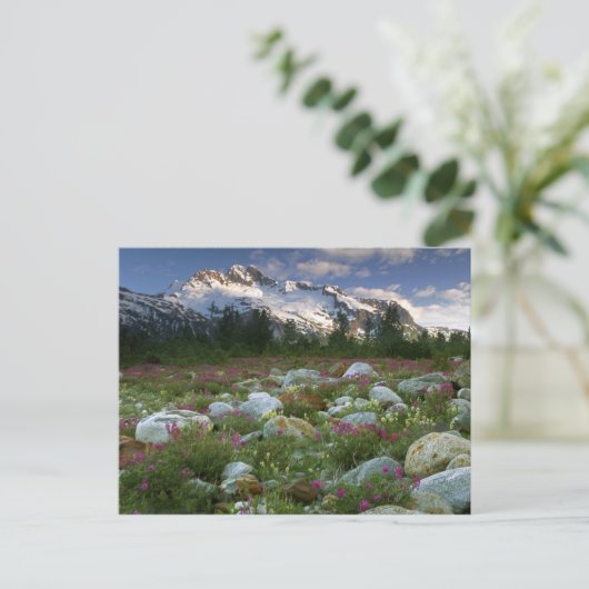 USA, Alaska, Alsek-Tatshenshini Wilderness. Uitzic Briefkaart (Staand voorkant)