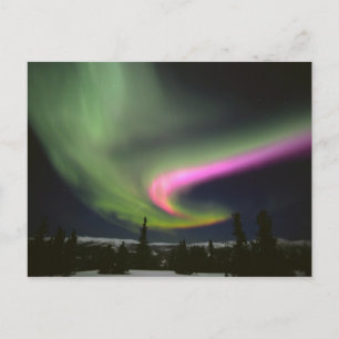 USA, Alaska, Chena Hot Springs. Aurora 2 Briefkaart