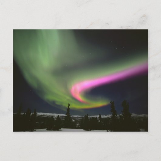 USA, Alaska, Chena Hot Springs. Aurora 2 Briefkaart (Voorkant)
