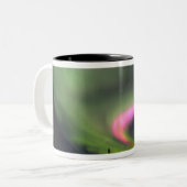USA, Alaska, Chena Hot Springs. Aurora 2 Tweekleurige Koffiemok (Voorkant links)