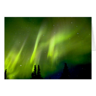 USA, Alaska, Chena Hot Springs. Aurora 3