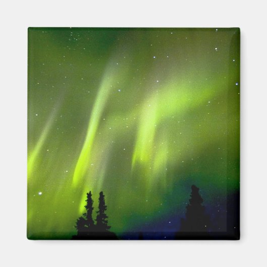 USA, Alaska, Chena Hot Springs. Aurora 3 Magneet (Voorkant)