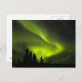 USA, Alaska, Chena Hot Springs. Aurora Borealis 2 Briefkaart (Voorkant / Achterkant)