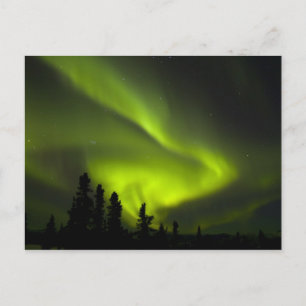 USA, Alaska, Chena Hot Springs. Aurora Borealis 2 Briefkaart