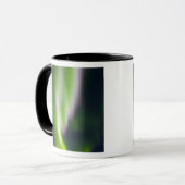 USA, Alaska, Chena Hot Springs. Aurora Borealis Mok (Voorkant links)