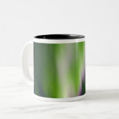 USA, Alaska, Chena Hot Springs. Aurora Borealis Tweekleurige Koffiemok (Voorkant links)