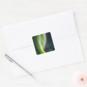 USA, Alaska, Chena Hot Springs. Aurora Borealis Vierkante Sticker (Envelop)