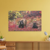 USA, Alaska, Denali National Park. Grizzly beer Canvas Afdruk (Insitu (Woonkamer))