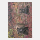 USA, Alaska, Denali National Park. Grizzly beer Theedoek (Verticaal)