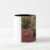 USA, Alaska, Denali National Park. Grizzly beer Tweekleurige Koffiemok (Center)