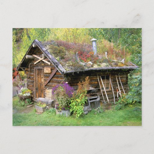 USA, Alaska, Denali National Park, Kantishna. Briefkaart (Voorkant)