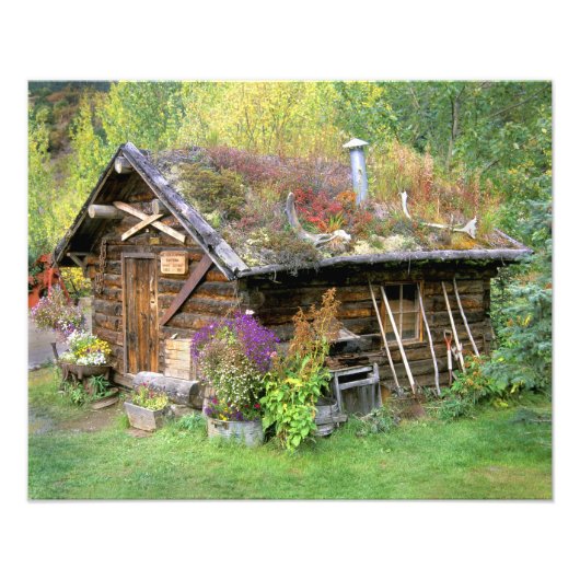 USA, Alaska, Denali National Park, Kantishna. Foto Afdruk (Voorkant)