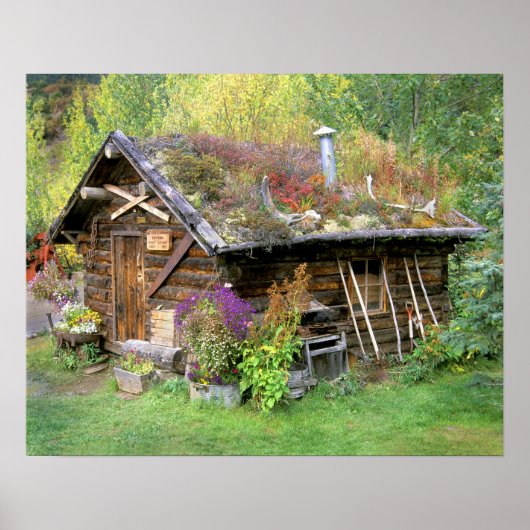 USA, Alaska, Denali National Park, Kantishna. Poster (Voorkant)