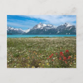 USA, Alaska, Glacier Bay National Park 2 Briefkaart (Voorkant)