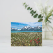 USA, Alaska, Glacier Bay National Park 2 Briefkaart (Staand voorkant)