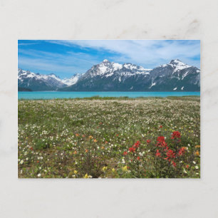 USA, Alaska, Glacier Bay National Park 2 Briefkaart