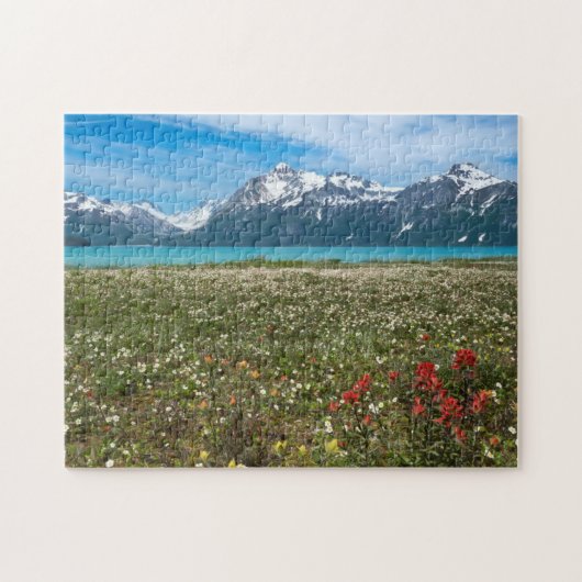 USA, Alaska, Glacier Bay National Park 2 Legpuzzel (Horizontaal)