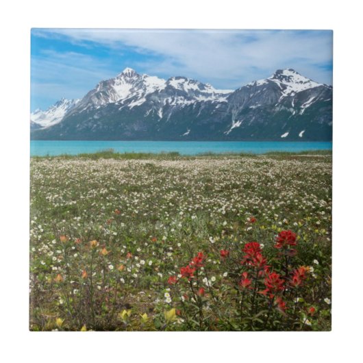 USA, Alaska, Glacier Bay National Park 2 Tegeltje (Voorkant)
