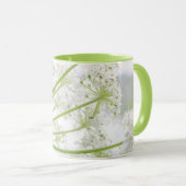 USA, Alaska, Glacier Bay National Park 3 Mok (Voorkant rechts)