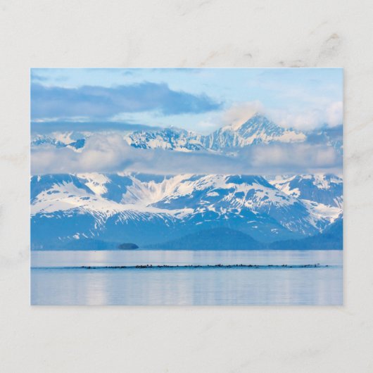 USA, Alaska, Glacier Bay National Park 7 Briefkaart (Voorkant)