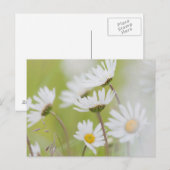 USA, Alaska, Glacier Bay National Park Briefkaart (Voorkant / Achterkant)