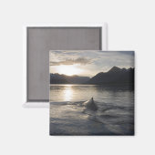 USA, Alaska, Glacier Bay National Park Magneet (Voorkant / Achterkant)