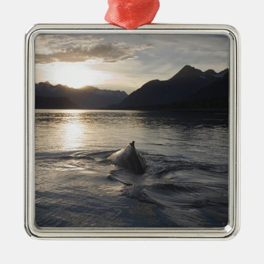 USA, Alaska, Glacier Bay National Park Metalen Ornament (Voorkant)