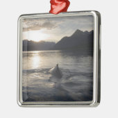 USA, Alaska, Glacier Bay National Park Metalen Ornament (Links)