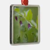 USA, Alaska, Glacier Bay National Park. Metalen Ornament (Rechts)