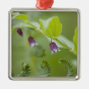 USA, Alaska, Glacier Bay National Park. Metalen Ornament