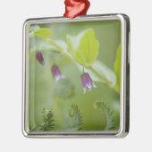 USA, Alaska, Glacier Bay National Park. Metalen Ornament (Links)