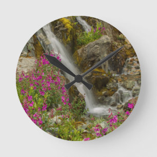 USA, Alaska, Glacier Bay National Park. Vuurweed Ronde Klok