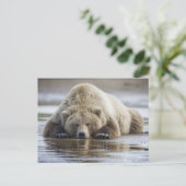 USA, Alaska, Katmai National Park, Brown Beer Briefkaart (Staand voorkant)