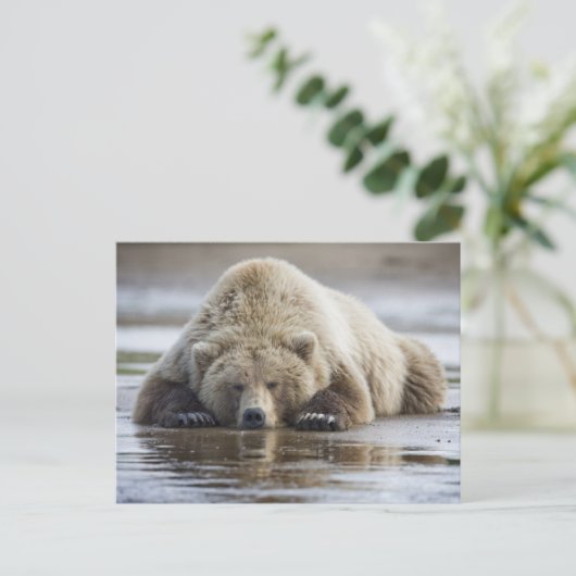 USA, Alaska, Katmai National Park, Brown Beer Briefkaart (Staand voorkant)