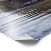 USA, Alaska, Katmai National Park, Brown Beer Foto Afdruk (Hoek)