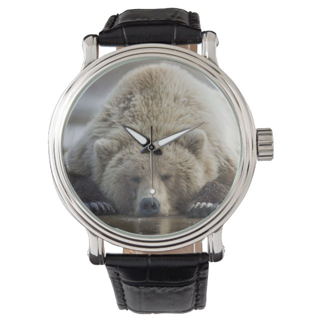 USA, Alaska, Katmai National Park, Brown Beer Horloge (Voorkant)